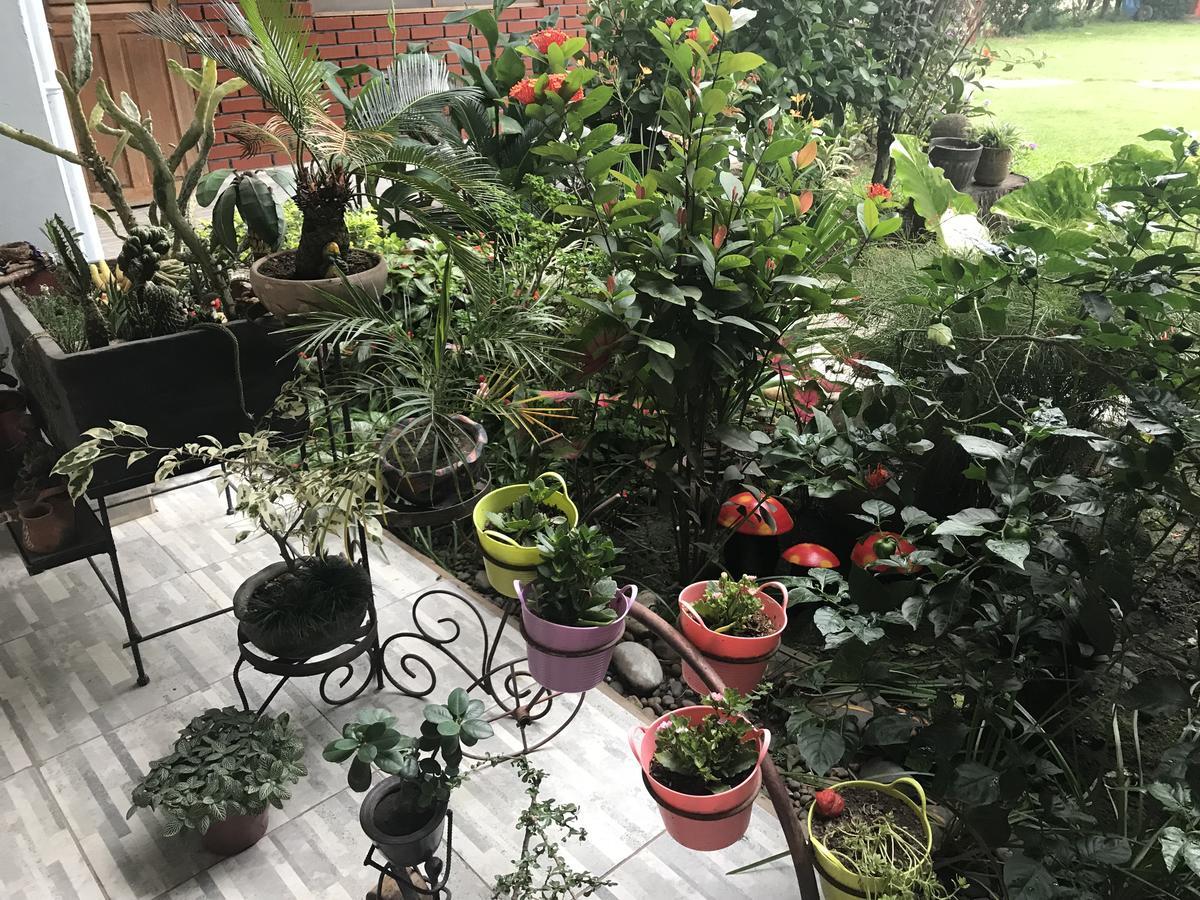 Maya De La Amazonia Hotel Boutique 鲁雷纳瓦克 外观 照片